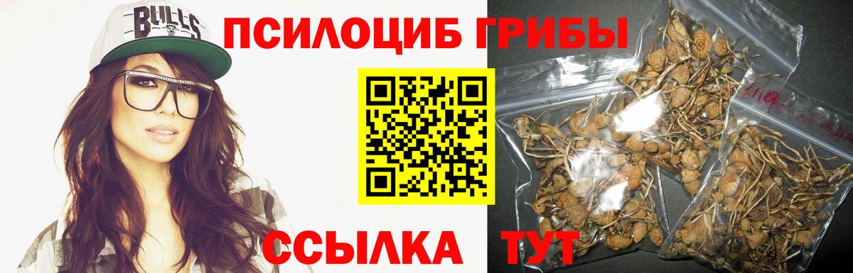 Псилоцибиновые грибы мицелий Ногинск