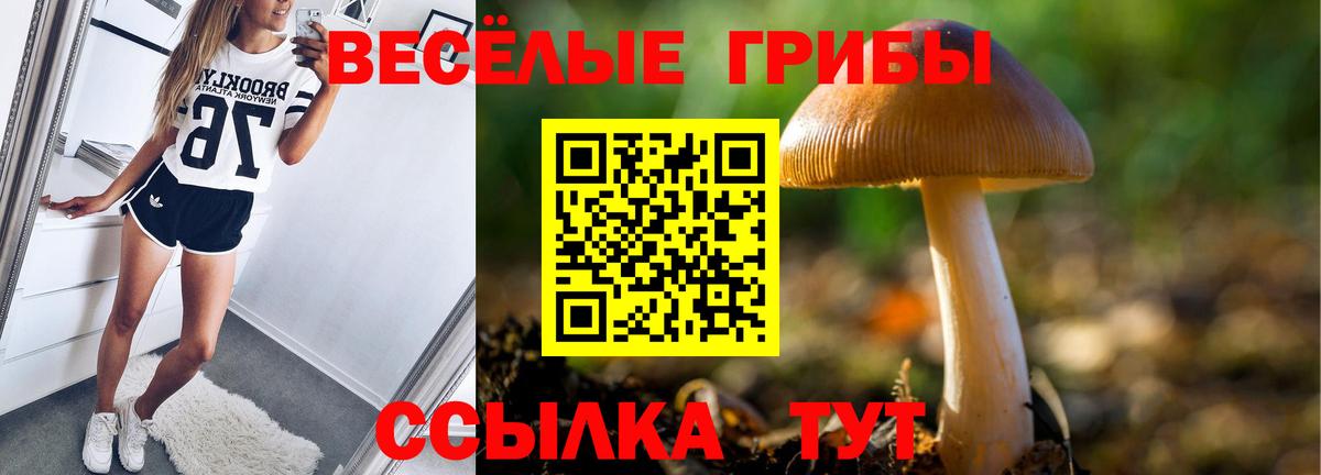 Ногинск  Галлюциногенные грибы Cubensis  Вход с VPN  Псилоцибиновые грибы Psilocybe 
